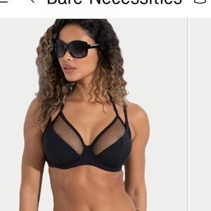 Bare Necessities Black Mesh Bikini Set